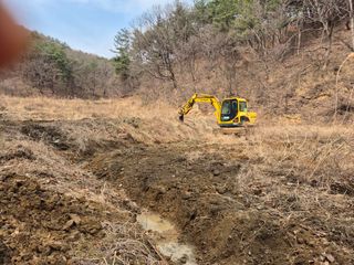 오세남자님의 콩 · 영농일지 작성글 사진