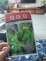 팜모닝 기타작물·영농일지 게시글 이미지