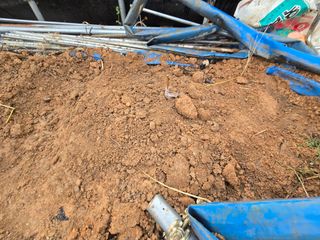 노아님의 기타작물 · 영농일지 작성글 사진