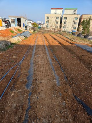 큐체리원님의 기타작물 · 영농일지 작성글 사진