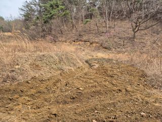 오세남자님의 콩 · 영농일지 작성글 사진