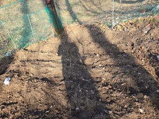 한상훈님의 상추 · 영농일지 작성글 사진