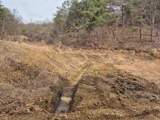 오세남자님의 콩 · 영농일지 작성글 사진