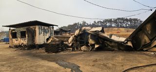 대봉농원 이경화님의 블루베리 · 영농일지 작성글 사진