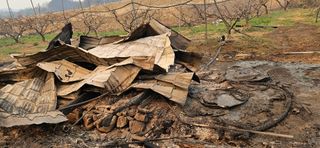 대봉농원 이경화님의 블루베리 · 영농일지 작성글 사진