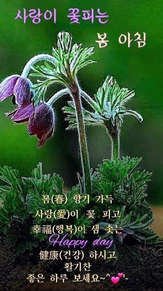 박용열조물주님 님의 기타작물 · 영농일지 작성글 사진