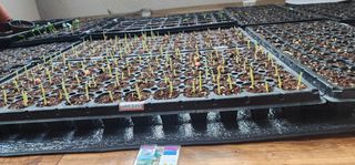 김선례님의 기타작물 · 영농일지 작성글 사진