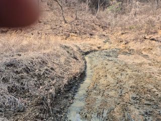 오세남자님의 콩 · 영농일지 작성글 사진