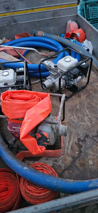 구춘봉님의 마늘 · 영농일지 작성글 사진