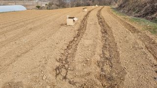 조현길님의 기타작물 · 영농일지 작성글 사진