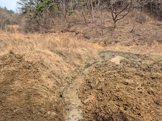 오세남자님의 콩 · 영농일지 작성글 사진