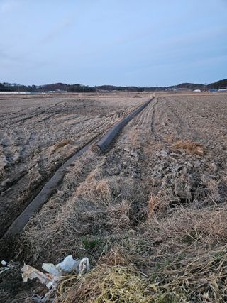 하이론님의 벼 · 영농일지 작성글 사진