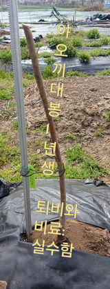 팜모닝 기타작물·영농일지 게시글 이미지