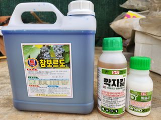 꿀복이농장님의 복숭아 · 영농일지 작성글 사진