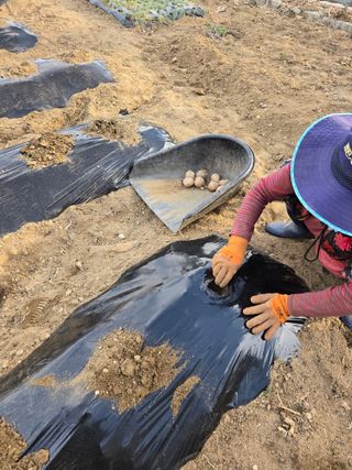 뚜벅이님의 기타작물 · 영농일지 작성글 사진