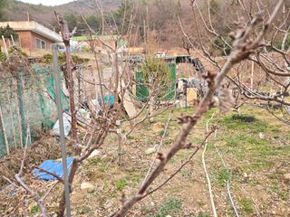 큐체리원님의 기타작물 · 영농일지 작성글 사진