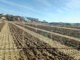 벼7893님의 벼 · 영농일지 작성글 사진