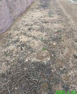 팜모닝 기타작물·영농일지 게시글 이미지