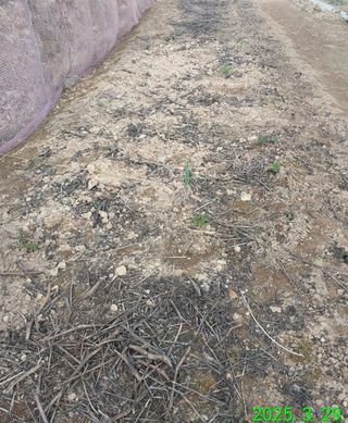 HMH님의 기타작물 · 영농일지 작성글 사진