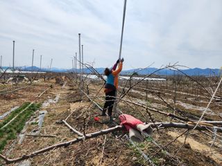 꿀복이농장님의 기타작물 · 영농일지 작성글 사진