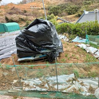 김건우님의 기타작물 · 영농일지 작성글 사진