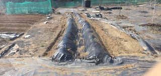 박상중님의 기타작물 · 영농일지 작성글 사진