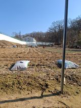 팜모닝 기타작물·영농일지 게시글 이미지