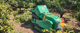 김형철님의 기타작물 · 영농일지 작성글 사진