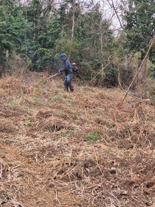 두릅나무17730님의 기타작물 · 영농일지 작성글 사진