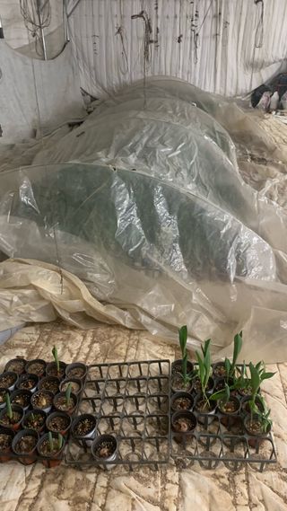 원스피릿팜님의 기타작물 · 영농일지 작성글 사진