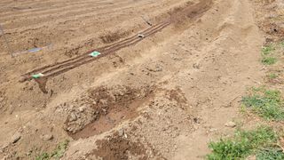 김영규님의 기타작물 · 영농일지 작성글 사진