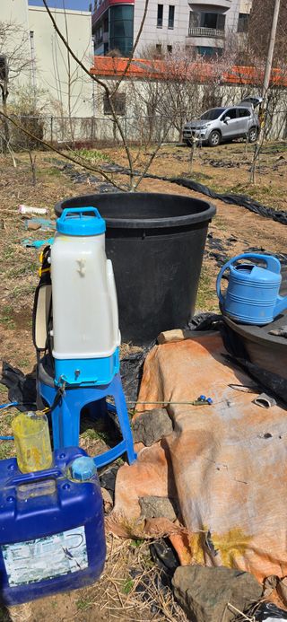 돌복숭아님의 사과 · 영농일지 작성글 사진