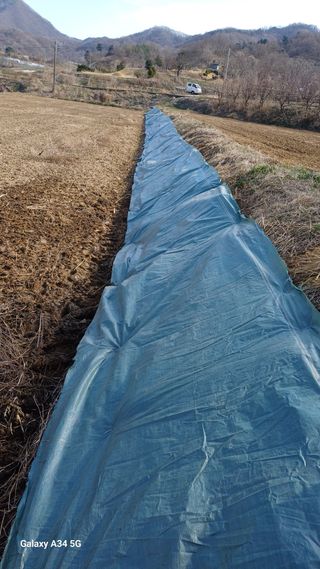 박원용님의 기타작물 · 영농일지 작성글 사진