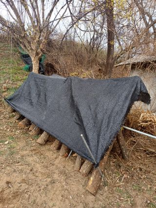 인산님의 기타작물 · 영농일지 작성글 사진