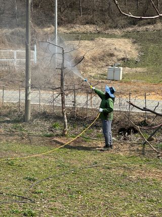 바람소리님의 기타작물 · 영농일지 작성글 사진