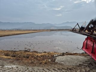 사천시향촌동 돼지띠님의 기타작물 · 영농일지 작성글 사진