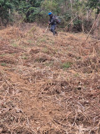 두릅나무17730님의 기타작물 · 영농일지 작성글 사진