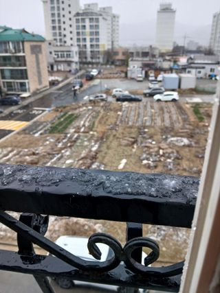 강지현님의 양파 · 영농일지 작성글 사진