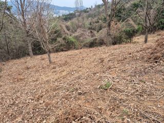 두릅나무17730님의 기타작물 · 영농일지 작성글 사진