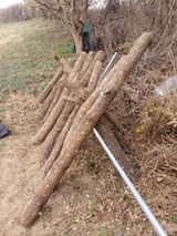 팜모닝 기타작물·영농일지 게시글 이미지