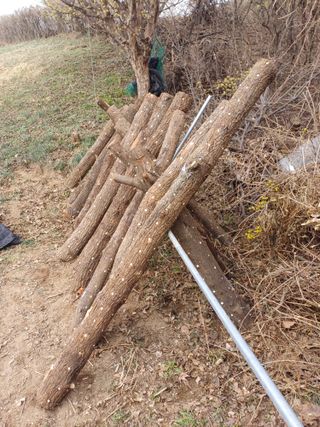 인산님의 기타작물 · 영농일지 작성글 사진