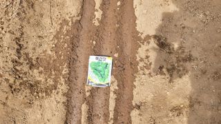 김영규님의 기타작물 · 영농일지 작성글 사진