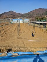 팜모닝 사과·영농일지 게시글 이미지