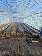 팜모닝 고추·영농일지 게시글 이미지