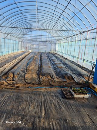 한양희님의 고추 · 영농일지 작성글 사진