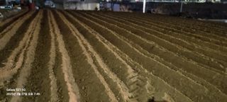 무봉농장(기북)님의 기타작물 · 영농일지 작성글 사진