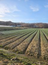 팜모닝 기타작물·영농일지 게시글 이미지