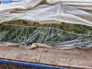 최근학님의 기타작물 · 영농일지 작성글 사진