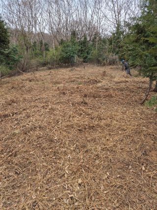 두릅나무17730님의 기타작물 · 영농일지 작성글 사진