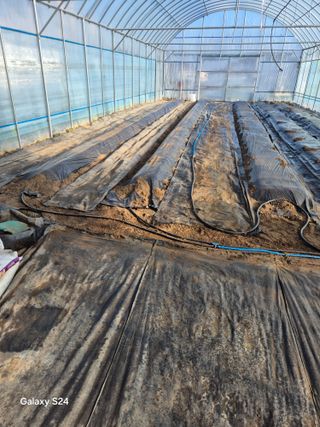 한양희님의 고추 · 영농일지 작성글 사진